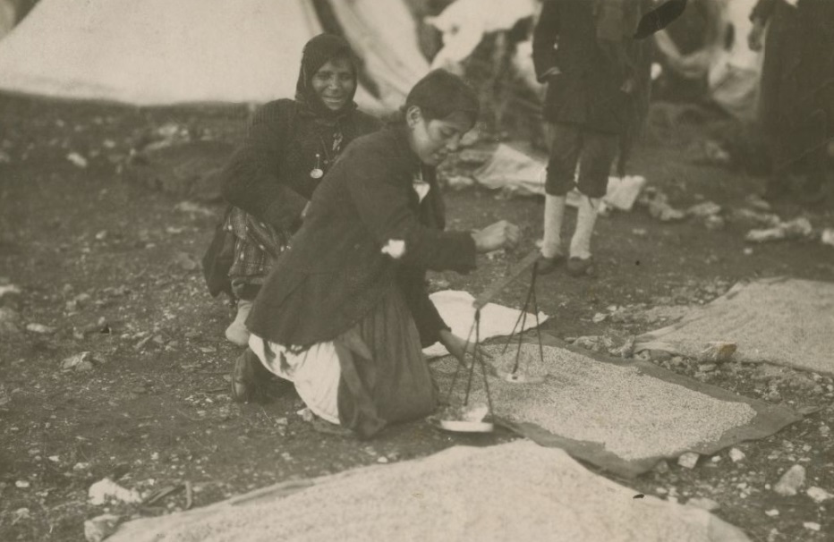 Macronissi weighing food